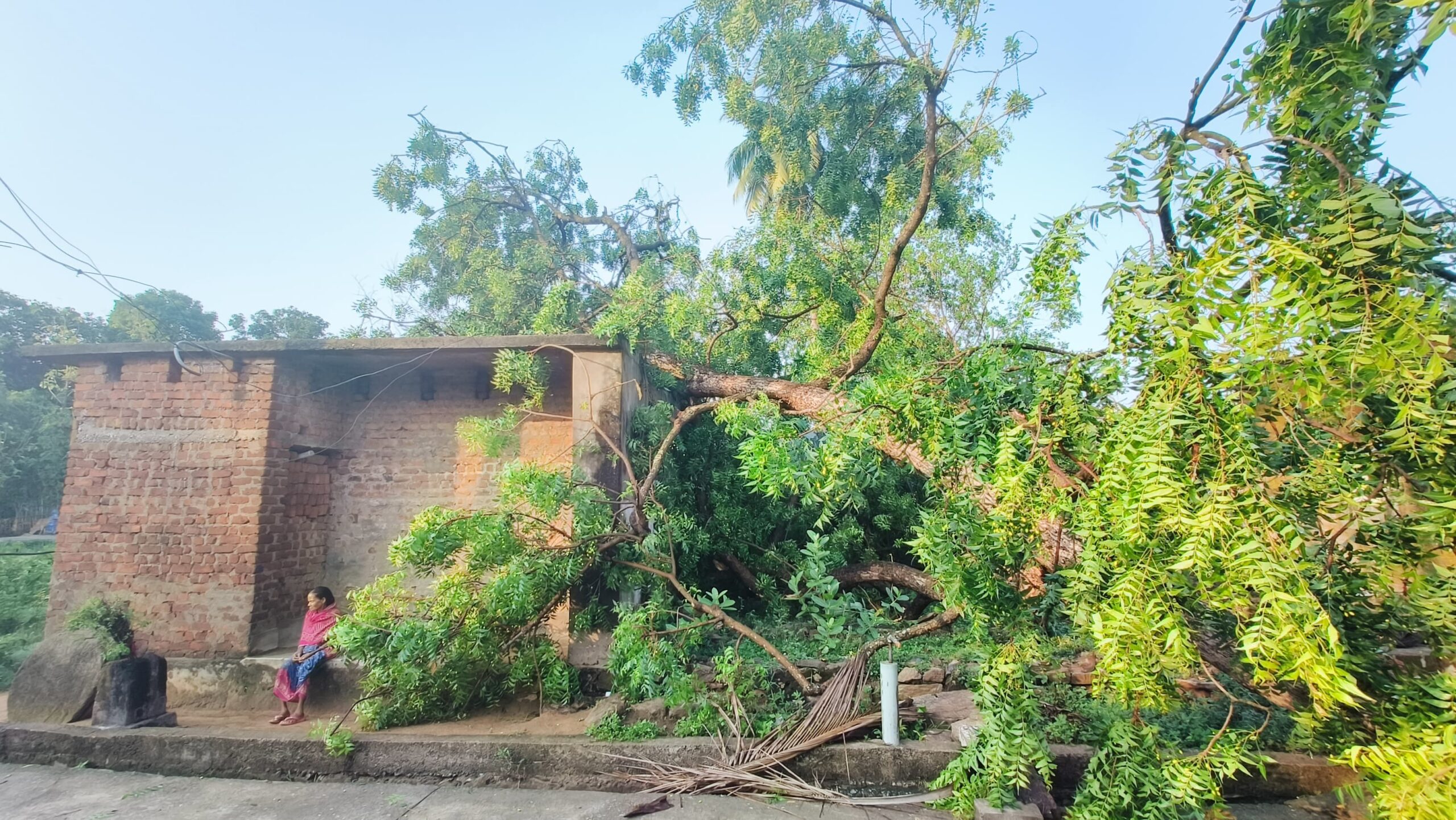 କାଳ ବୈଶାଖୀ ର ତାଣ୍ଡବଲୀଳା ।
